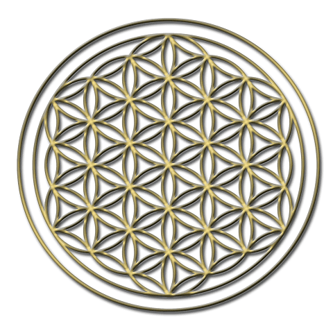 Flower of life - Soul Heart Journey School