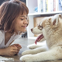 Gå en kurs i djurkommunikation hos HelhetsCentrum