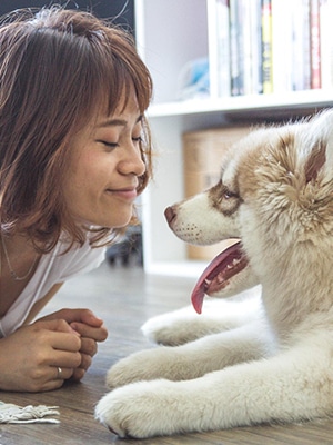 Gå en kurs i djurkommunikation hos HelhetsCentrum