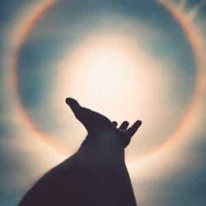 Om Lemurien och Atlantis med Susanne Jönsson