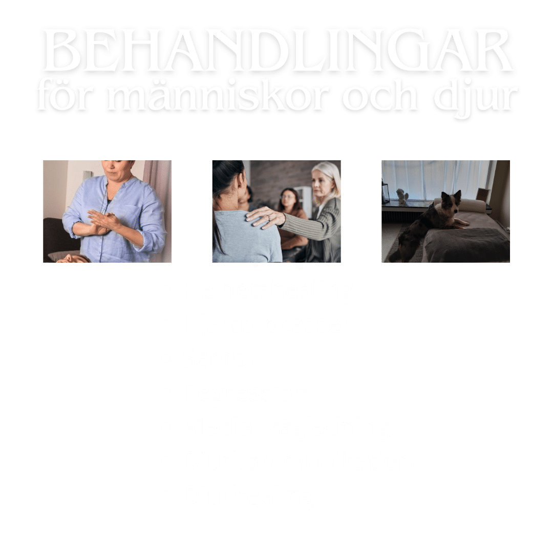 Helhetscentrum kurser, behandlingar och onlineutbildning